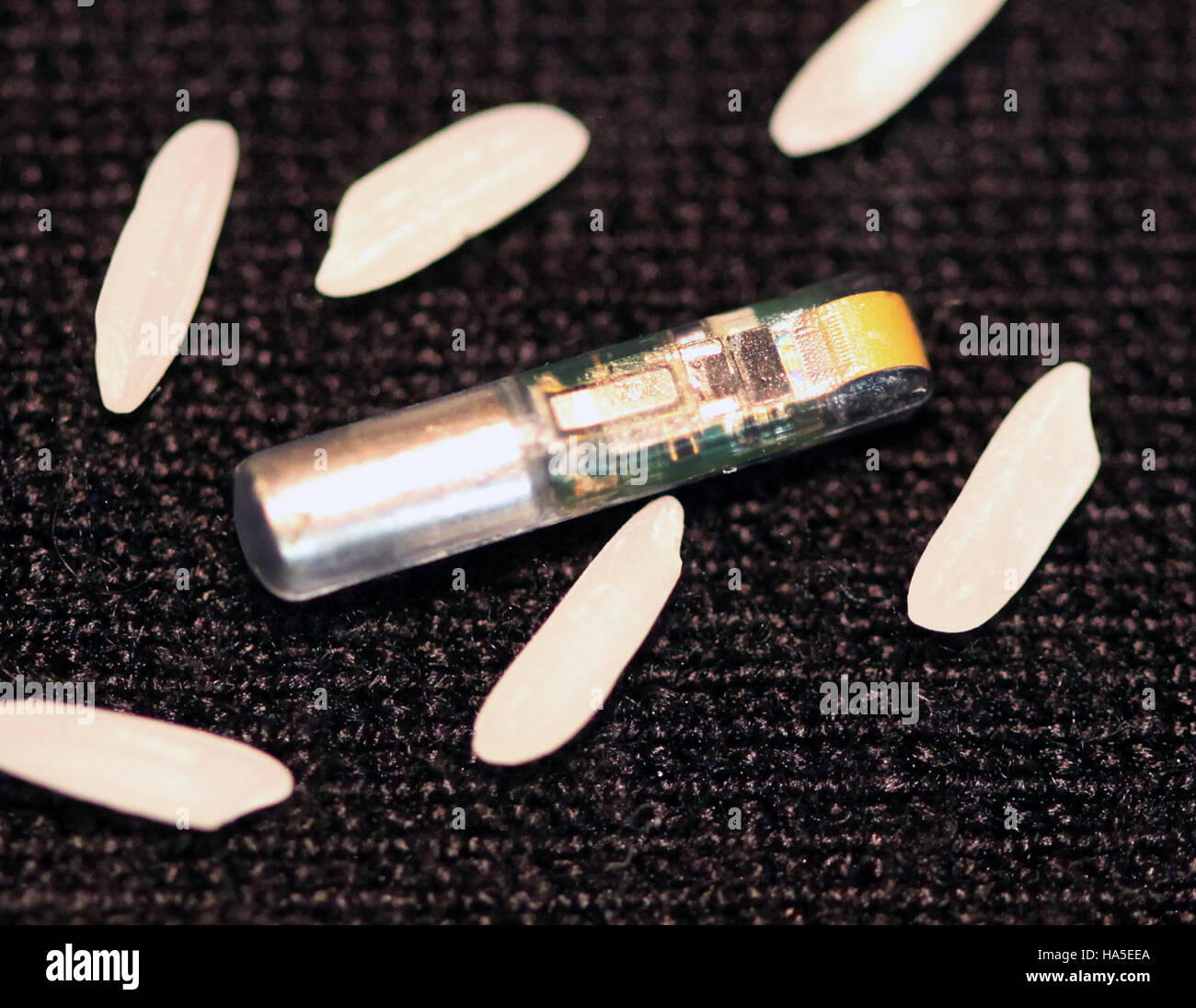 Il Dipartimento dell'energia presenta i risultati sull'efficienza energetica, concentrandosi sulla sostenibilità, la tecnologia e la politica ambientale. Foto Stock