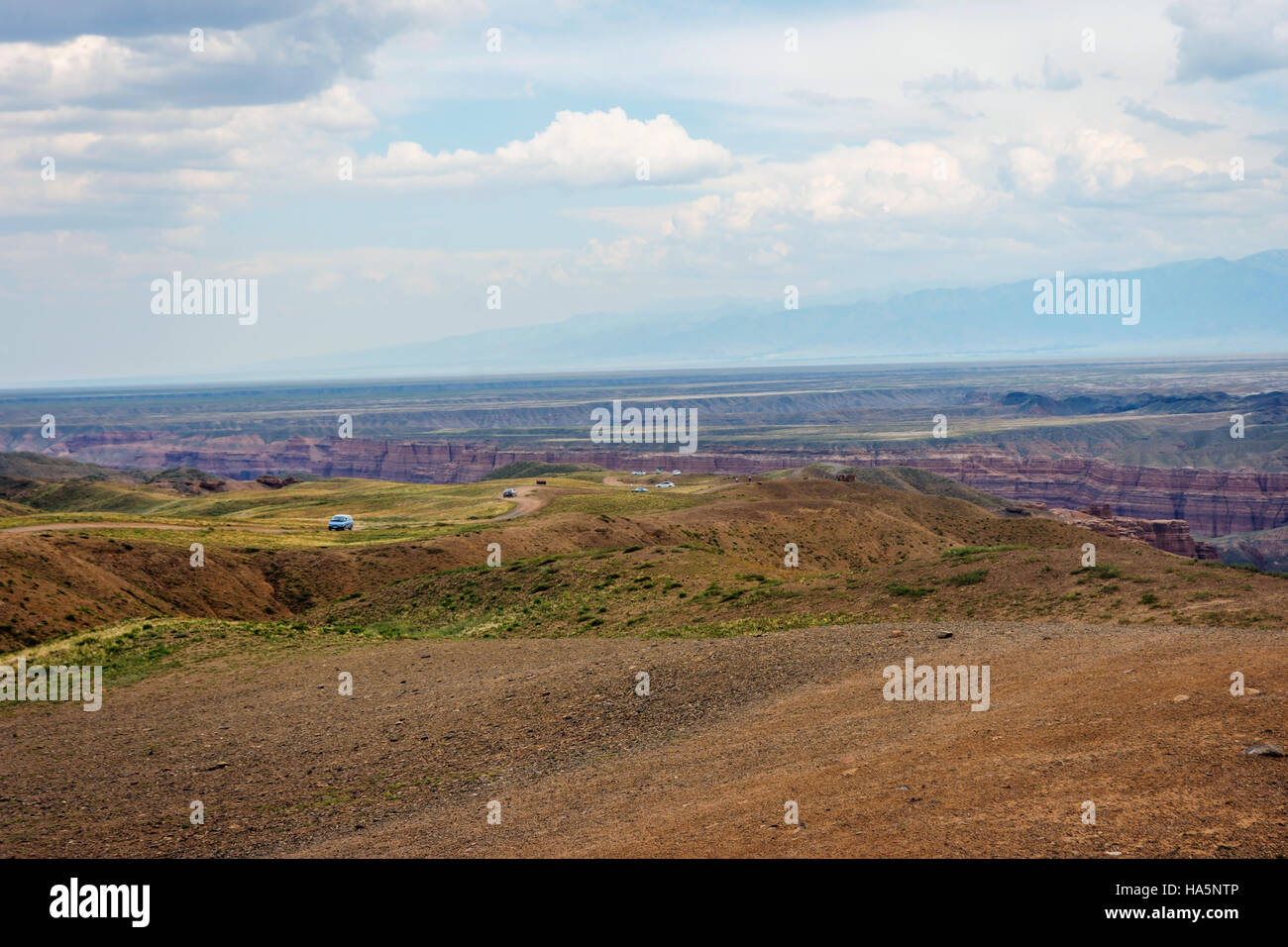 Vista su Sharyn o Charyn Canyon, Kazakistan, secondo canyon più grande del mondo Foto Stock