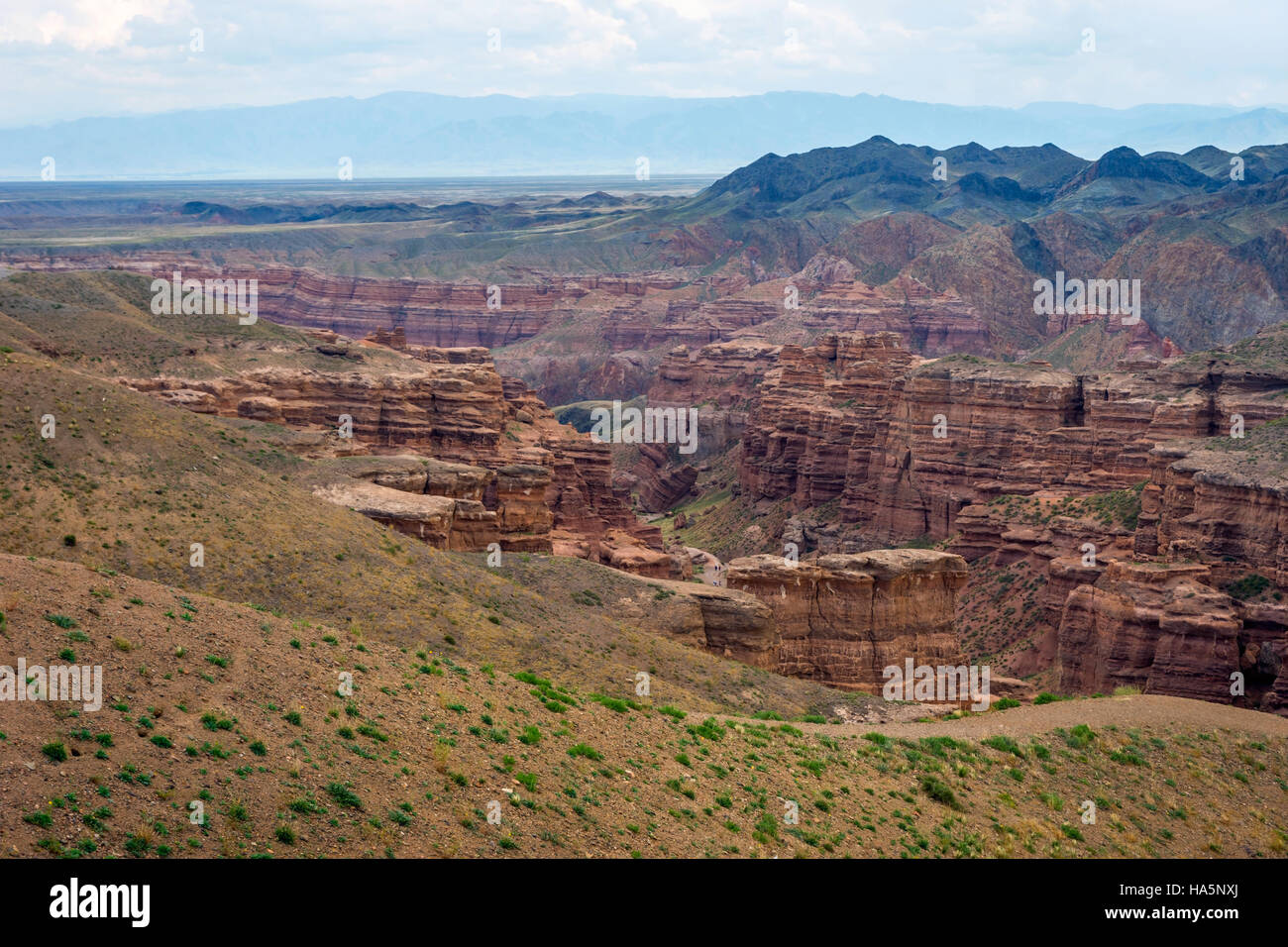 Vista su Sharyn o Charyn Canyon, Kazakistan, secondo canyon più grande del mondo Foto Stock