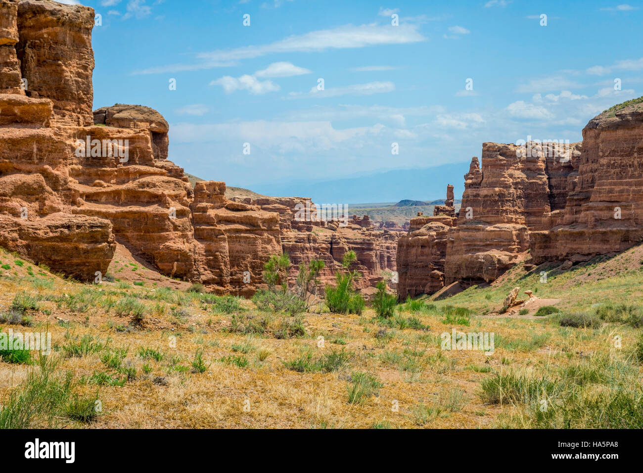 Vista su Sharyn o Charyn Canyon, Kazakistan, secondo canyon più grande del mondo Foto Stock