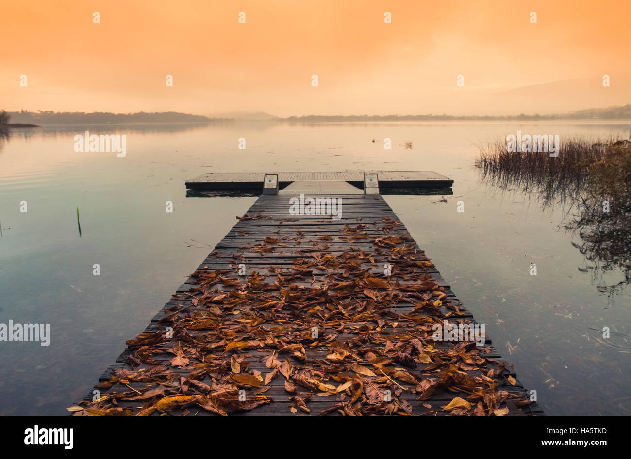 Il molo di legno con foglie sul tranquillo lago di sunrise in autunno Foto Stock