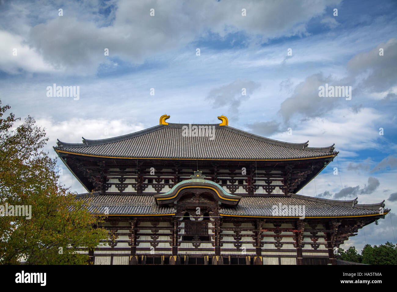 Vista Al Todai ji a Nara, Giappone Foto Stock
