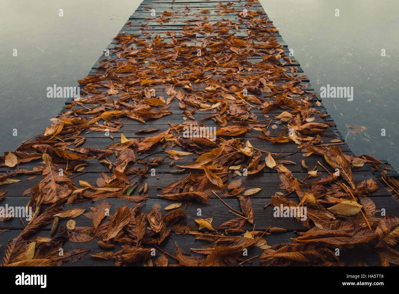 Il molo di legno con foglie sul tranquillo lago in autunno Foto Stock