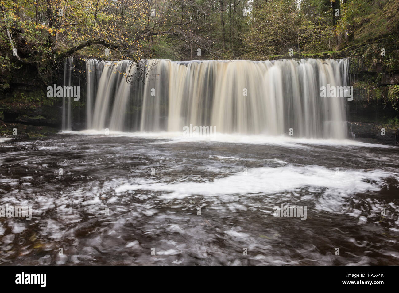 Acque fluenti in cascata paese dei Brecon Beacons in Galles. Foto Stock