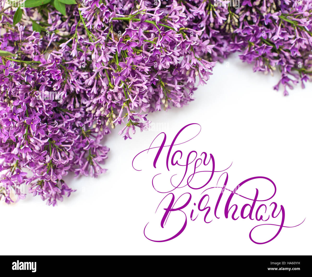 Bellissimo ramo di lilla isolati su sfondo bianco e la molla con il testo buon compleanno. Calligraphy lettering Foto Stock