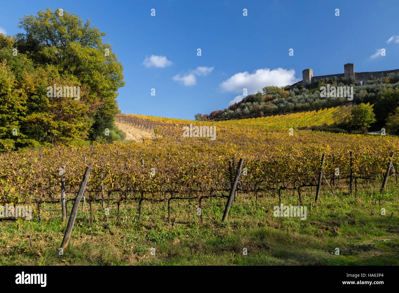 Campi autunnali nei pressi della cinta muraria medievale di Monteriggioni, Toscana, Italia. Foto Stock