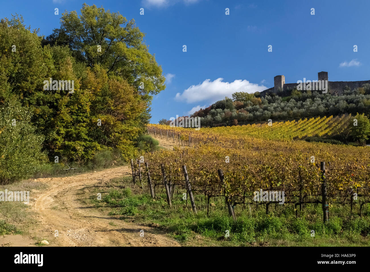 Vigneti autunnali al di fuori della cinta muraria medievale di Monteriggioni, Toscana, Italia. Foto Stock