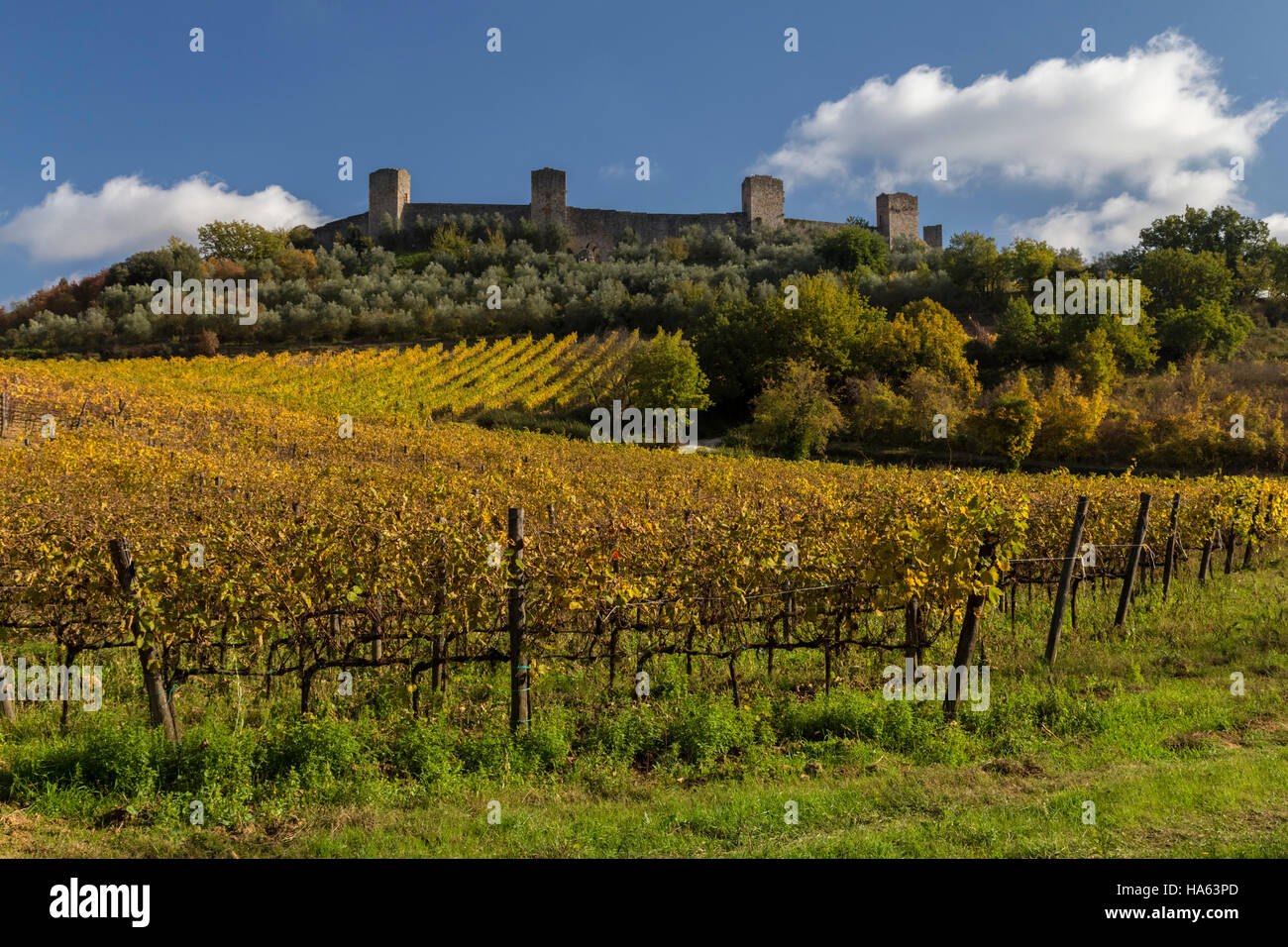 Campi autunnali nei pressi della cinta muraria medievale di Monteriggioni, Toscana, Italia. Foto Stock