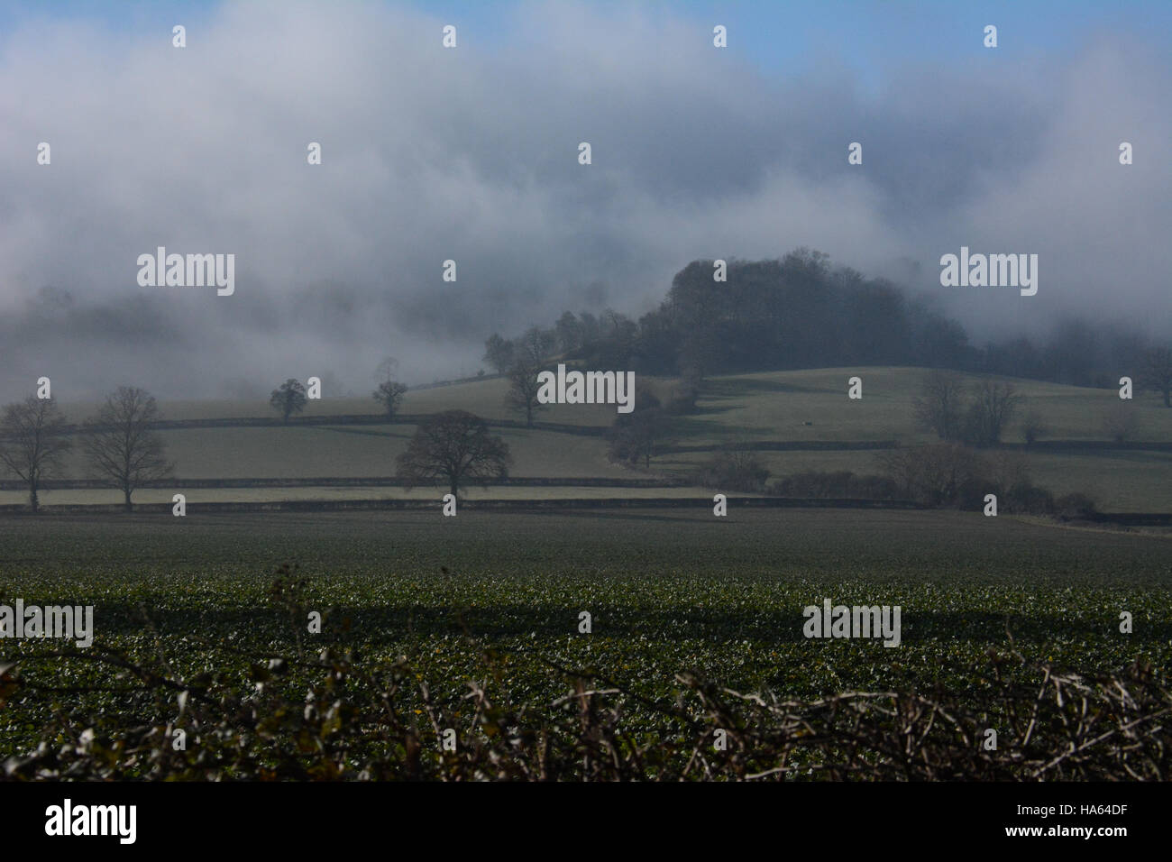 Guardando verso la struttura Meon Hill nel Warwickshire che è avvolta nella nebbia con campi in primo piano Foto Stock Guardando verso la struttura Meon Hill nel Warwickshire che è avvolta nella nebbia con campi in primo piano Foto Stock