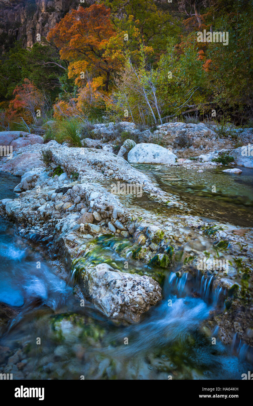 Canyon McKittrick è un canyon panoramico entro il Guadalupe Montagne di West Texas e Eddy County, Nuovo Messico. Le ripide pareti torreggianti di McKittrick Foto Stock