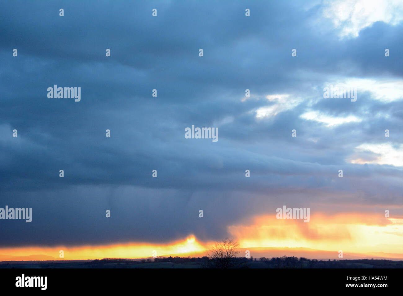 Cotswold scena invernale con la luminosità del tramonto tra colline e un cielo di blu profondo rainclouds pesanti con un stagliano tree Foto Stock