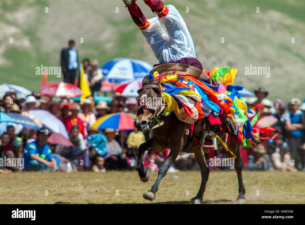 Un cavaliere Khampa dimostra le sue abilità acrobatiche dal dorso di un cavallo al galoppo a Yushu Horse Festival. Qinghai, Cina Foto Stock