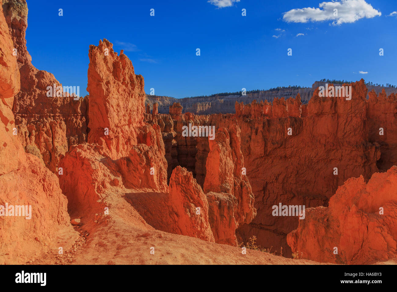 Incredibile vista panoramica del hoodoos. Parco Nazionale di Bryce Canyon, Utah, Unated membri Foto Stock