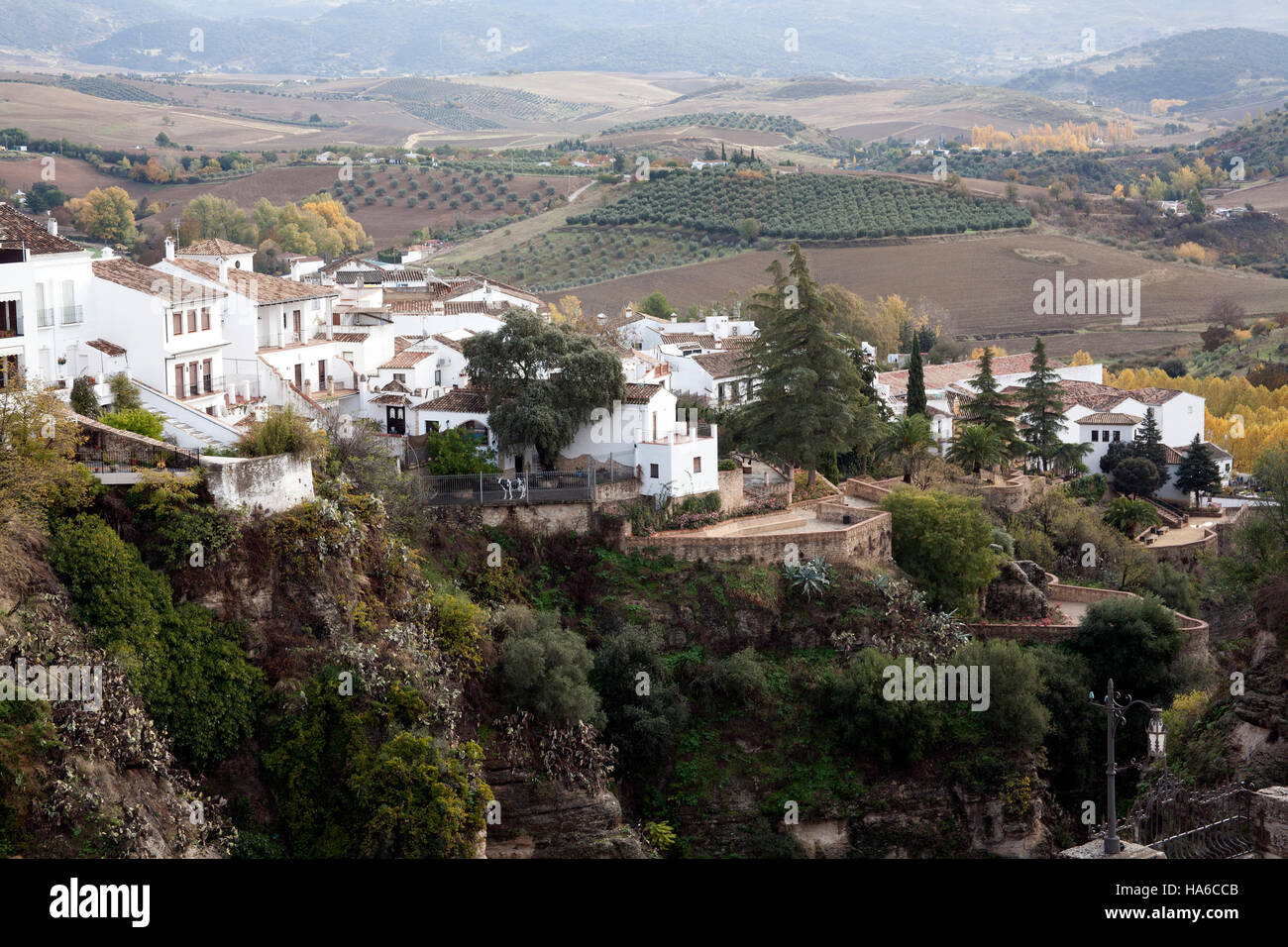 Campagna nei dintorni di El Tajo Gorge, Ronda Andalusia Spagna Foto Stock