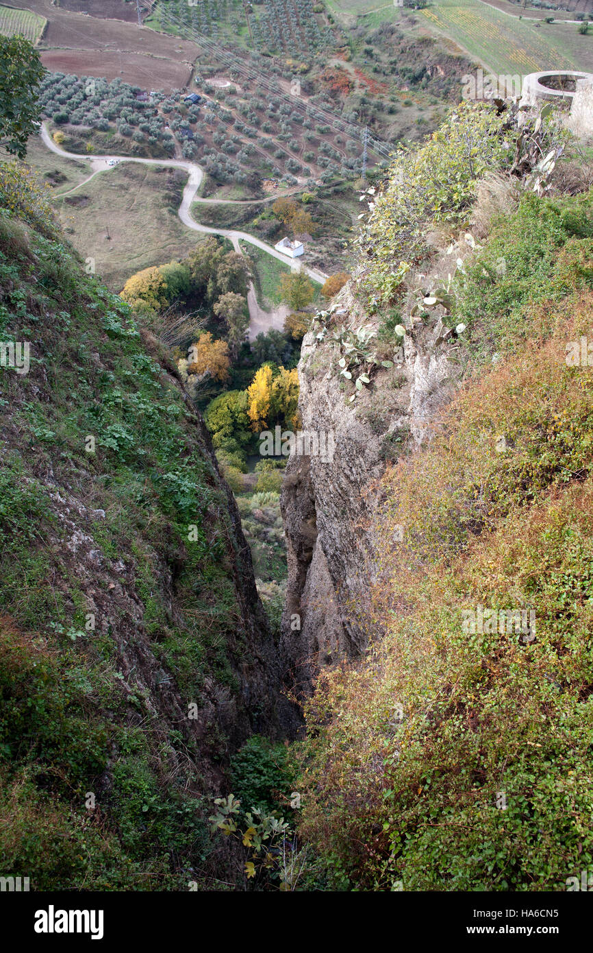 Campagna nei dintorni di El Tajo Gorge, Ronda Andalusia Spagna Foto Stock