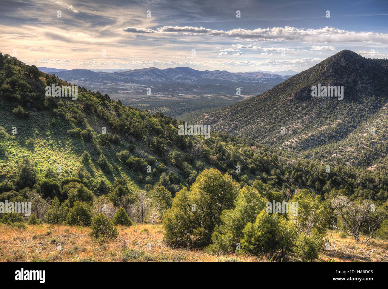 Questa foto cattura una vista mozzafiato del paesaggio del Nevada, illustrando le diverse caratteristiche naturali protette dai programmi federali di gestione del territorio. Foto Stock