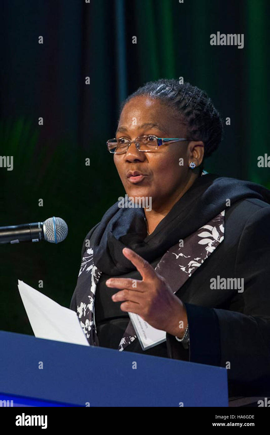 H.E. Dipuo Peters è stata ministro dell'energia del Sudafrica, dove si è concentrata sull'avanzamento dell'accesso all'energia e sulla promozione delle fonti di energia rinnovabili. La sua leadership mirava a migliorare la sicurezza energetica e a sostenere gli obiettivi di sviluppo sostenibile del Sudafrica. Foto Stock