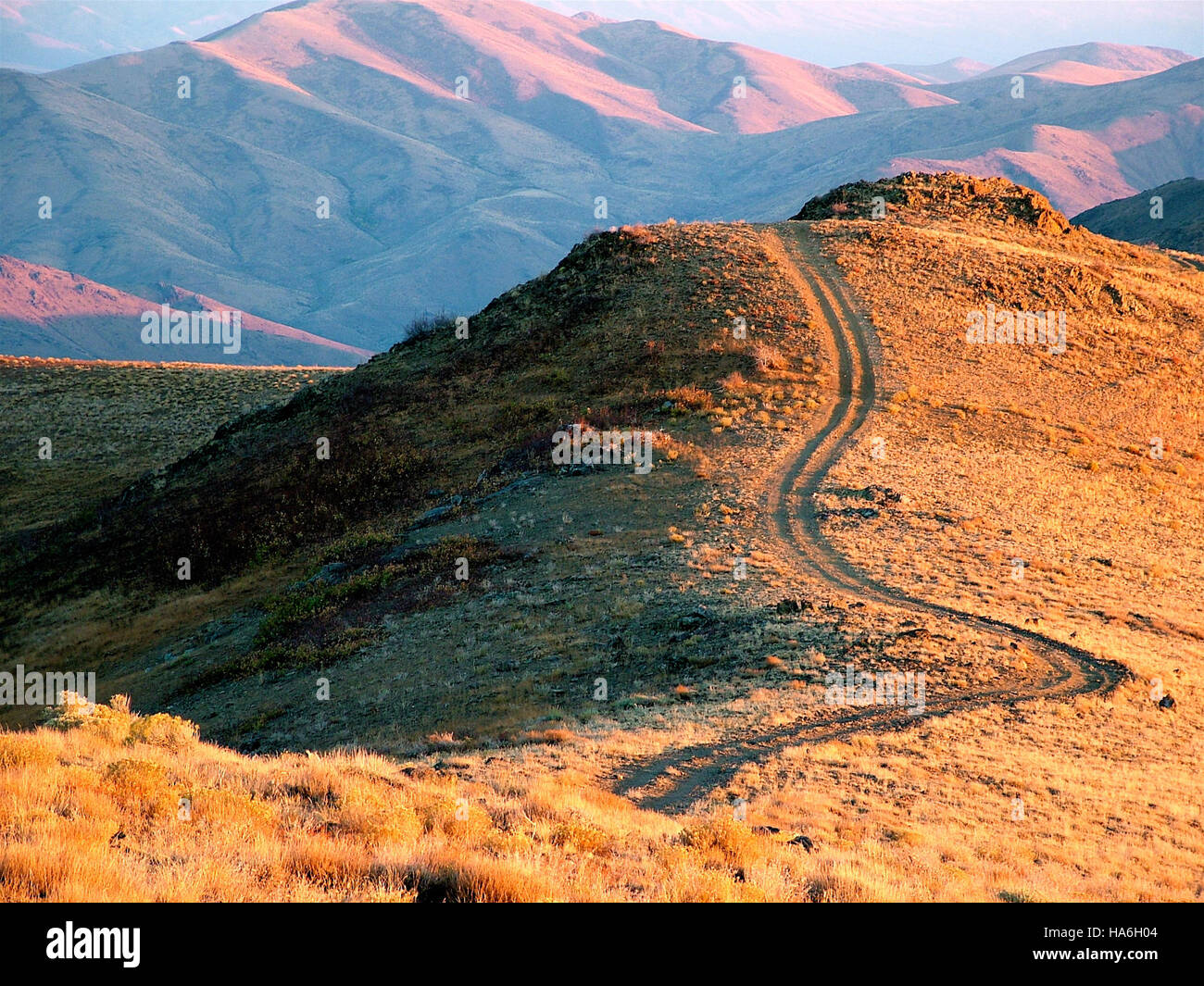 Questa immagine mostra il Single Track Trail a Peavine Mountain in Nevada, una destinazione popolare per gli appassionati di attività all'aria aperta. Il sentiero offre vedute panoramiche e mette in evidenza l'importanza della conservazione dei sentieri e della gestione del territorio nei parchi nazionali. Foto Stock