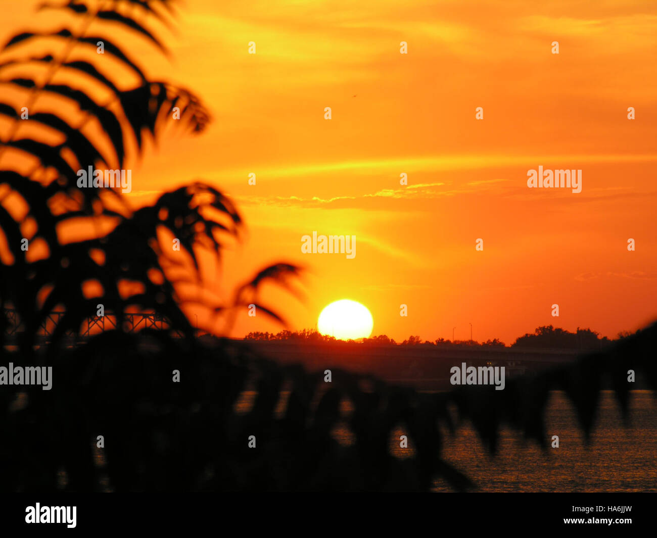 Il Dipartimento dell'energia finanzia e sostiene una vasta gamma di progetti nel campo della ricerca energetica, della scienza ambientale e dello sviluppo delle politiche, con particolare attenzione alla creazione di soluzioni energetiche sostenibili e allo sviluppo della ricerca per mitigare i cambiamenti climatici. Foto Stock