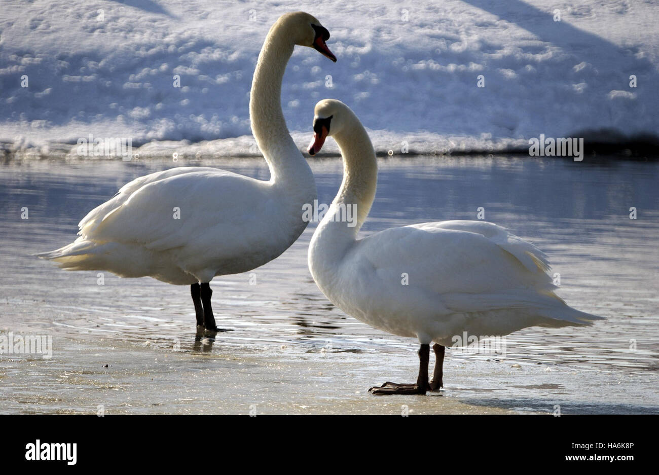 Questa immagine evidenzia un'iniziativa in corso del Dipartimento dell'energia per far progredire le tecnologie energetiche volte a ridurre gli impatti ambientali. Si concentra sullo sviluppo di soluzioni energetiche sostenibili per soddisfare le crescenti esigenze energetiche globali, riducendo al minimo i danni ecologici. Foto Stock