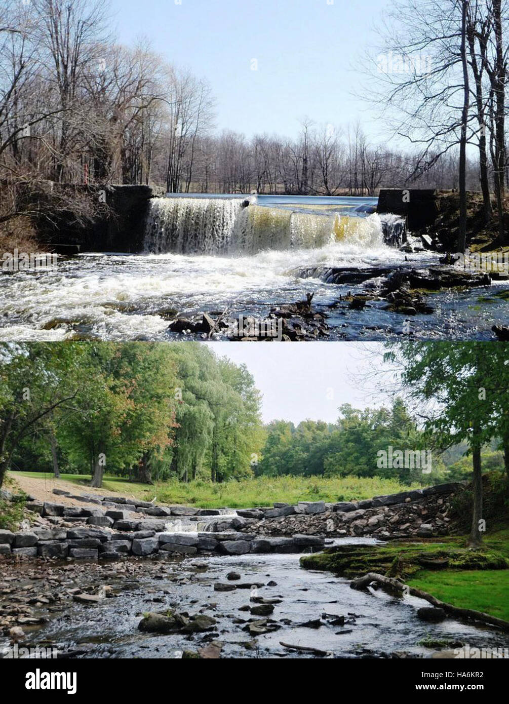 Un confronto prima e dopo di Rice Creek a New York, che mostra l'impatto ambientale della rimozione della diga di Fallbrook sulla salute dei ruscelli e sugli ecosistemi acquatici. Foto Stock