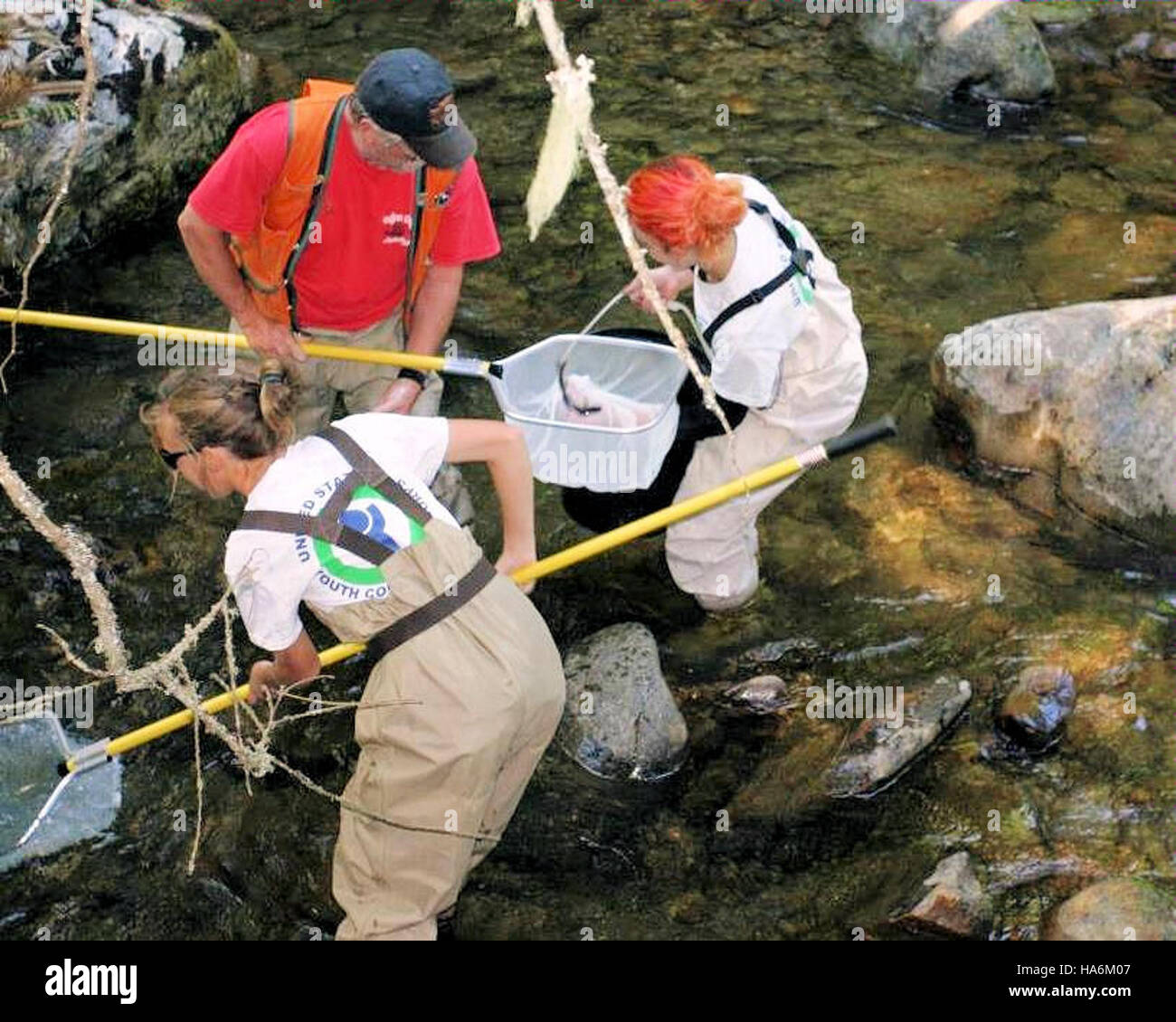 Il campionamento della rete a Myrtle Creek, situato nel Kootenai National Wildlife Refuge, Idaho, si concentra sul monitoraggio dei pesci e delle popolazioni anfibie. Questa ricerca aiuta a comprendere la salute degli ecosistemi acquatici e sostiene gli sforzi di conservazione nella regione. Foto Stock
