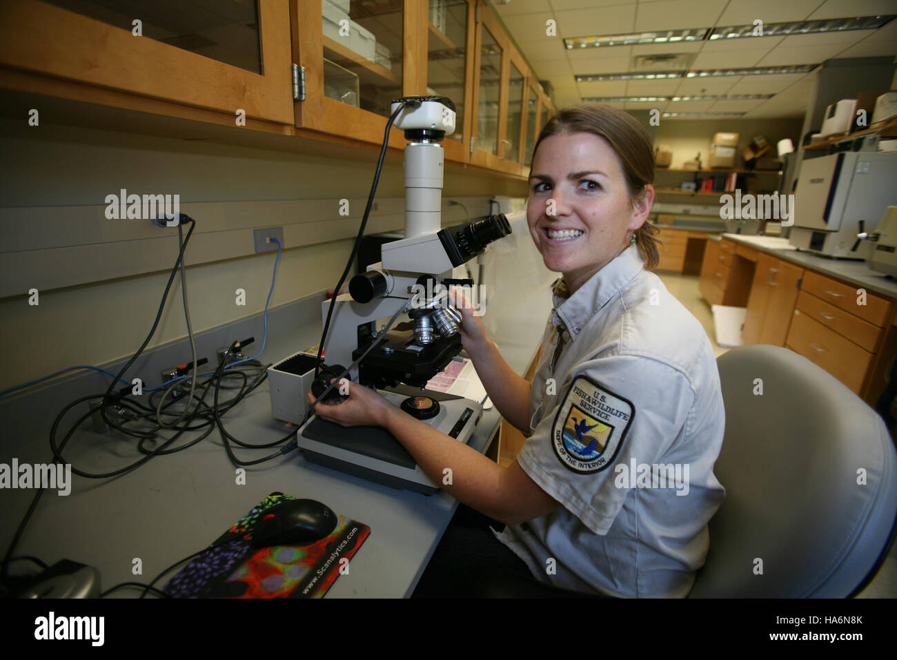 Uno sguardo al lavoro da banco della Aquatic Animal Drug Approval Partnership di Bozeman, Montana, incentrato sulla ricerca e lo sviluppo di trattamenti approvati per gli animali acquatici. Questo partenariato sostiene la salute degli ecosistemi acquatici e l'uso sostenibile delle risorse marine. Foto Stock