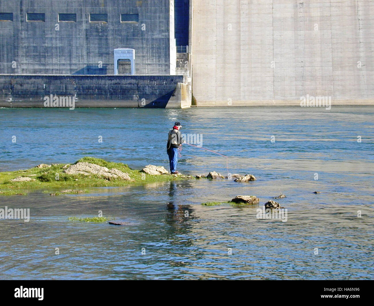 La pesca con la mosca sotto la diga di Wolf Creek sul fiume Cumberland in Kentucky offre un'esperienza panoramica e ricreativa. Il fiume Cumberland, parte del sistema di parchi nazionali, è un luogo popolare per i pescatori, con diverse specie di pesci e viste pittoresche. L'area naturale circostante mette in risalto l'intersezione tra attività di conservazione e attività ricreative all'aperto. Foto Stock