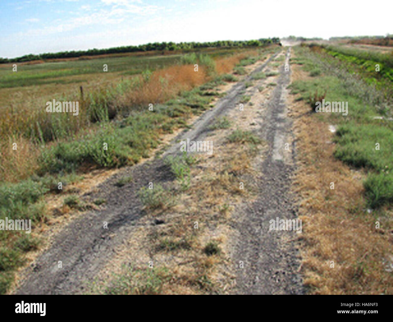 Un'immagine prima e dopo che mostra gli sforzi di restauro al San Luis National Wildlife Refuge, concentrandosi sul ripristino dell'habitat e sul recupero delle specie. Foto Stock