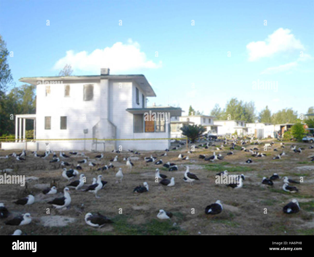 Una foto del Midway Atoll National Wildlife Refuge, parte dei progetti di recupero del servizio ittico e faunistico degli Stati Uniti, si è concentrata sulla protezione delle specie in pericolo e sul ripristino degli habitat in questa remota località del Pacifico. Foto Stock Una foto del Midway Atoll National Wildlife Refuge, parte dei progetti di recupero del servizio ittico e faunistico degli Stati Uniti, si è concentrata sulla protezione delle specie in pericolo e sul ripristino degli habitat in questa remota località del Pacifico. Foto Stock