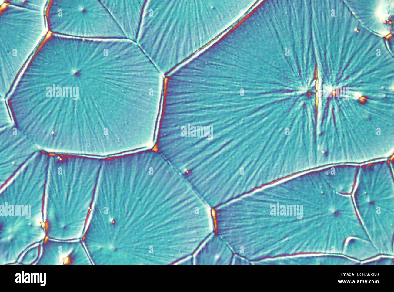 Questa voce fa riferimento alla ricerca condotta presso il Los Alamos National Laboratory sulle celle solari Perovskite, concentrandosi sul loro potenziale per una produzione di energia solare più efficiente e conveniente. Foto Stock