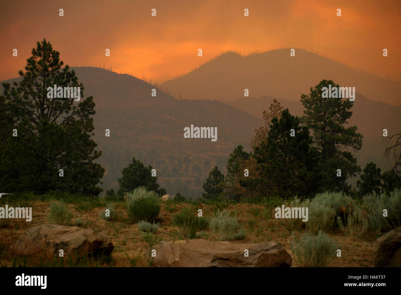 Un tramonto pieno di fumo sulle montagne Jemez, fotografato durante un incendio nel giugno 2011. L'incendio ha colpito la regione e l'immagine cattura la dura bellezza di un disastro naturale, con un forte fumo che gira attraverso il cielo, proiettando una spettacolare vista del tramonto. Foto Stock