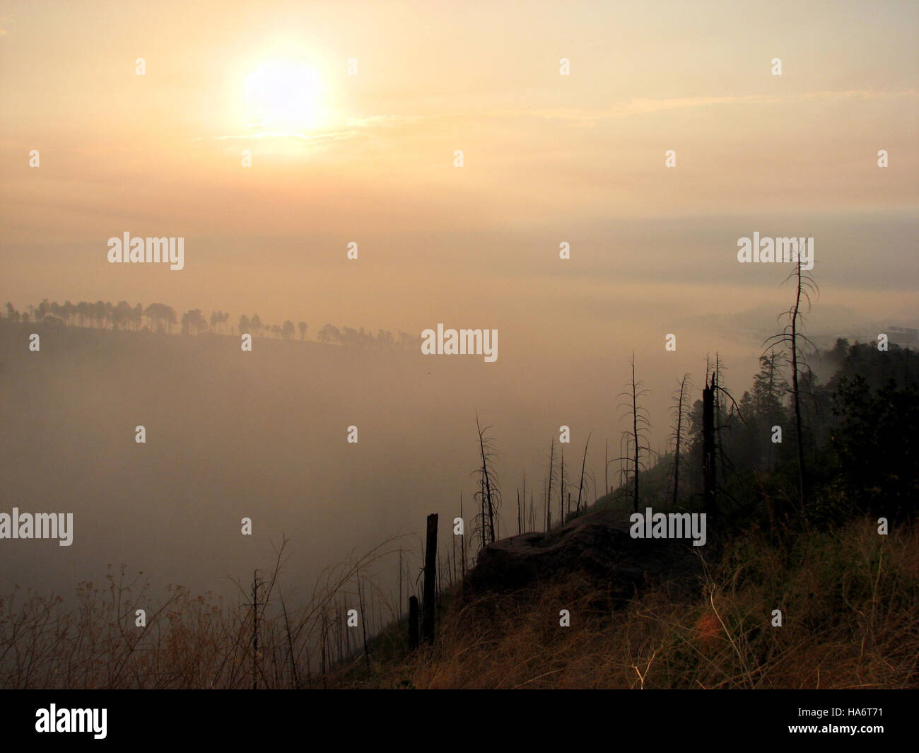 Questa fotografia cattura l'eterea foschia sulle montagne Jemez nel New Mexico. L'immagine evidenzia la bellezza naturale del paesaggio, con la foschia che aggiunge una qualità mistica e atmosferica alla scena. Foto Stock