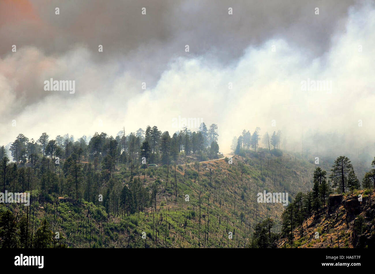 Una rappresentazione degli sforzi per preservare il Los Alamos Canyon, evidenziando le sfide e le iniziative per la conservazione ambientale nella regione. Foto Stock
