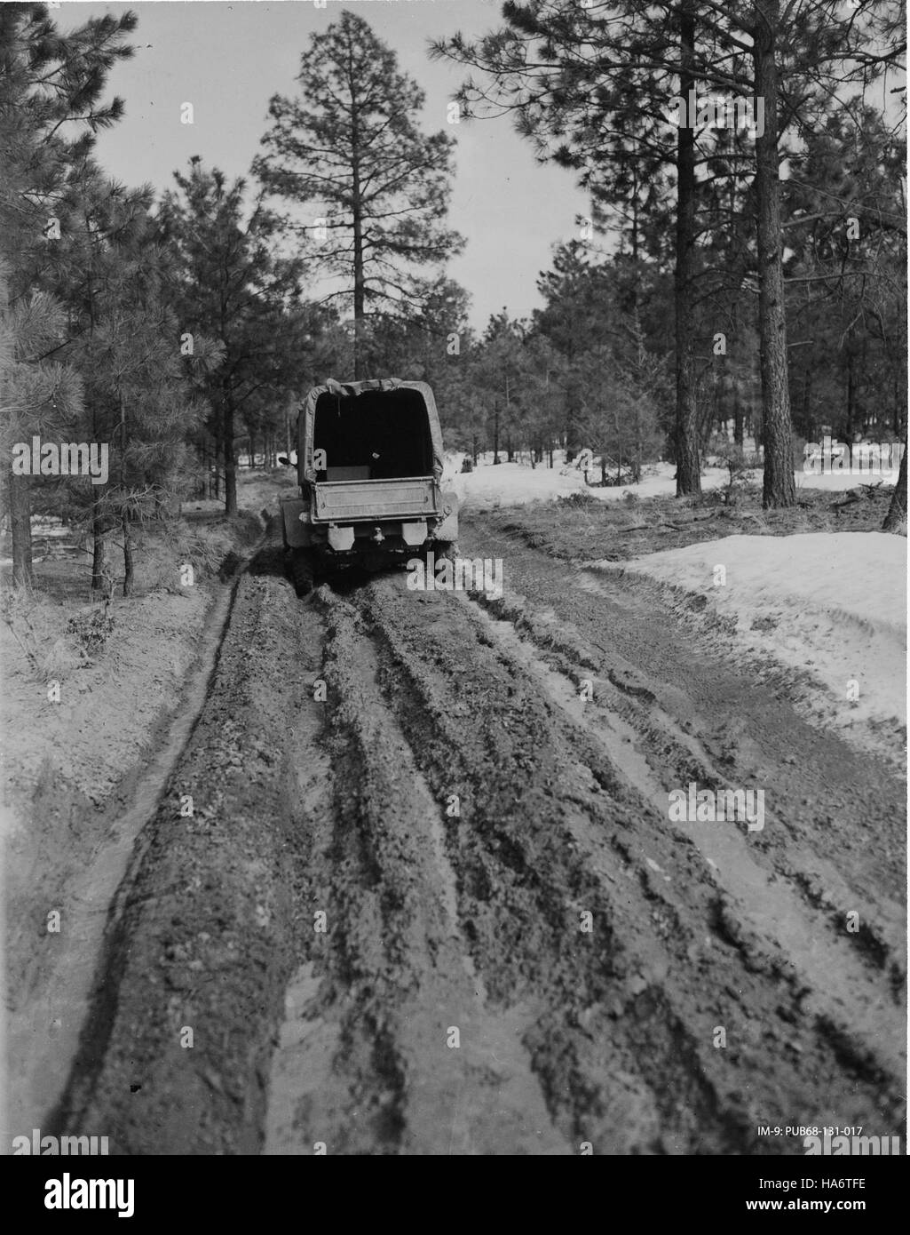 L'immagine mostra una scena del Los Alamos National Laboratory, evidenziando un veicolo o un'apparecchiatura bloccati nel fango. Questo tipo di situazione è comune nel lavoro sul campo che coinvolge macchinari di grandi dimensioni e fa parte delle sfide affrontate durante la ricerca scientifica in condizioni difficili. Foto Stock