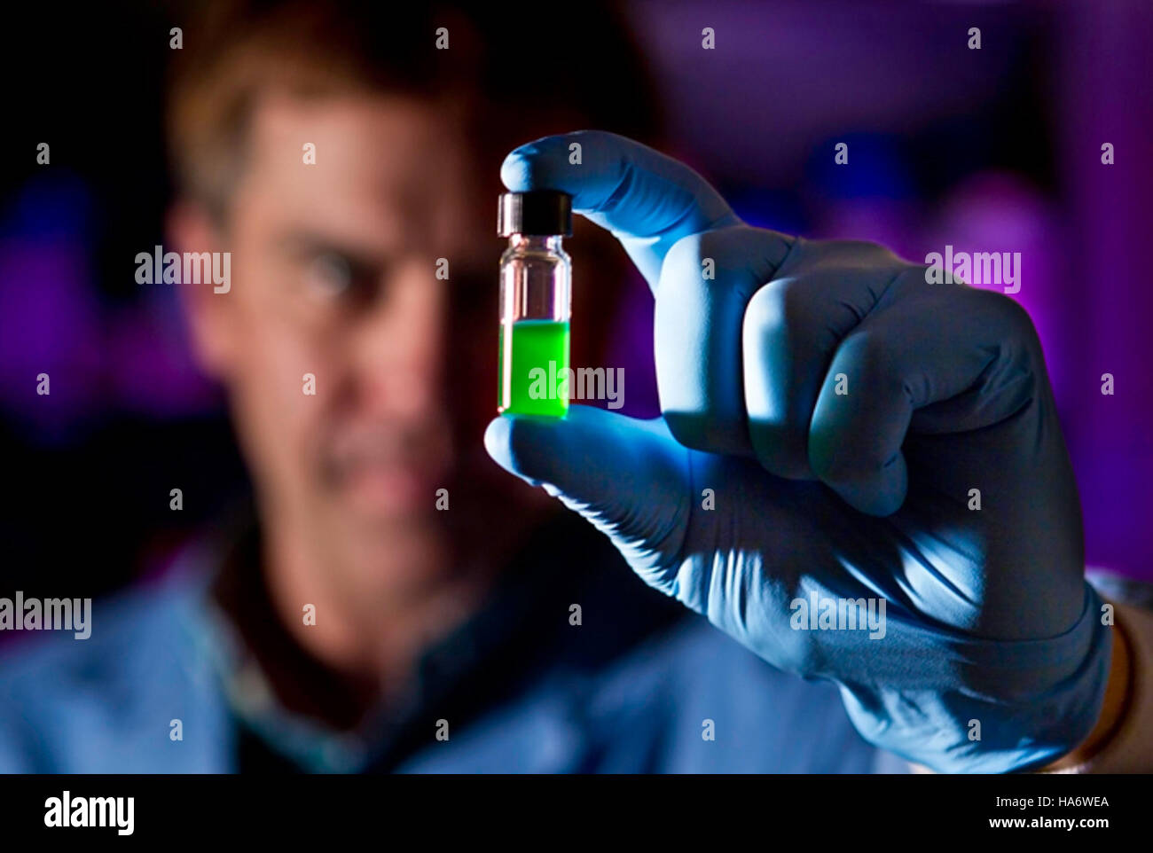 Al Los Alamos National Laboratory, i ricercatori raccolgono e analizzano campioni di alghe per studiare il loro potenziale nella bioenergia, nelle scienze ambientali e nella ricerca ecologica. Questi campioni aiutano a sviluppare soluzioni energetiche sostenibili e forniscono informazioni sulla salute degli ecosistemi. Foto Stock