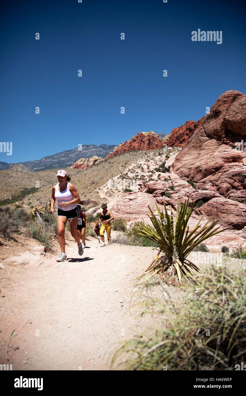 La Red Rock Canyon National Conservation area (NCA) in Nevada offre splendide viste panoramiche e una popolare destinazione per il trail running. Conosciuta per le sue impressionanti formazioni di roccia rossa, questa zona attira visitatori per escursioni, attività ricreative all'aperto e fotografie. Foto Stock