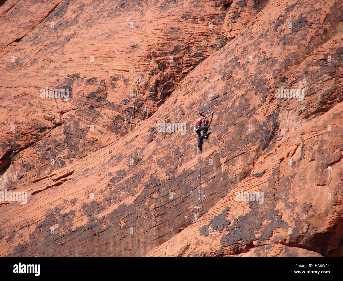 Il Red Rock Canyon in Nevada offre una posizione popolare per l'arrampicata su roccia e le attività ricreative all'aperto, con paesaggi mozzafiato e opportunità di avventura in un parco nazionale protetto. Foto Stock