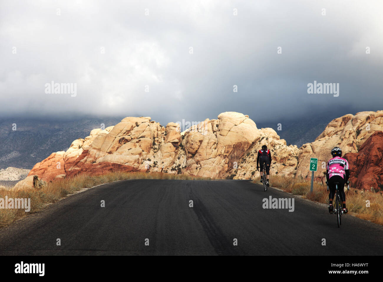 La Red Rock Canyon National Conservation area in Nevada è un luogo popolare per il ciclismo su strada e offre opportunità ricreative in un paesaggio protetto gestito dal Bureau of Land Management. Foto Stock