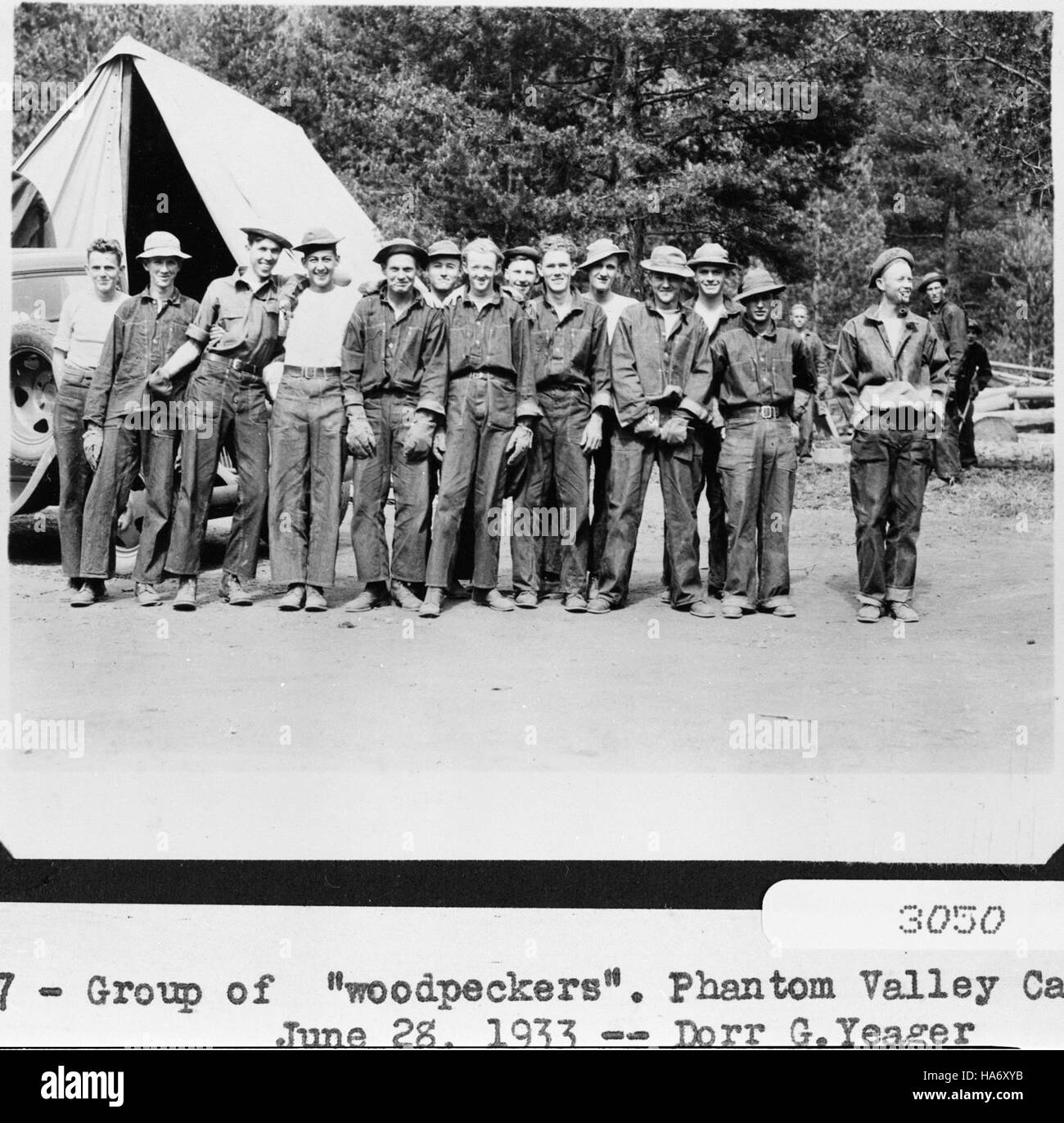 Un gruppo di picchi è osservato nel Phantom Valley Canyon, un habitat chiave all'interno del Rocky Mountain National Park. L'area, storicamente significativa per i campi del corpo di conservazione civile, è ricca di fauna selvatica e patrimonio culturale. Foto Stock