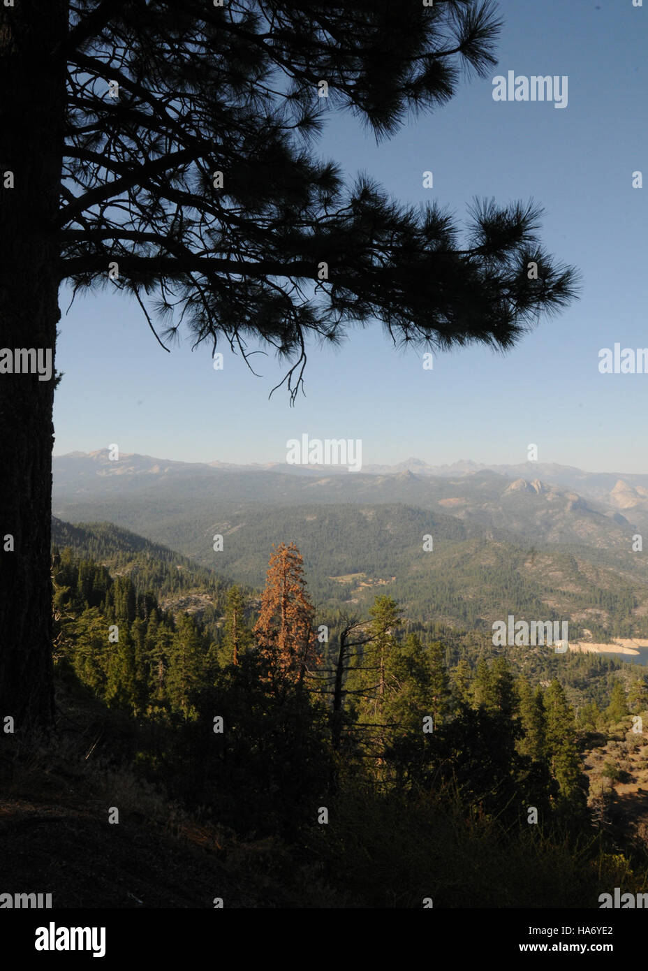 Una foto che cattura un paesaggio naturale all'interno di un parco nazionale, evidenziando l'intersezione tra natura, scienza e politica nella gestione delle terre federali. L'immagine rappresenta gli sforzi volti a bilanciare la conservazione ambientale con l'interazione umana e lo sviluppo delle politiche nelle aree protette. Foto Stock