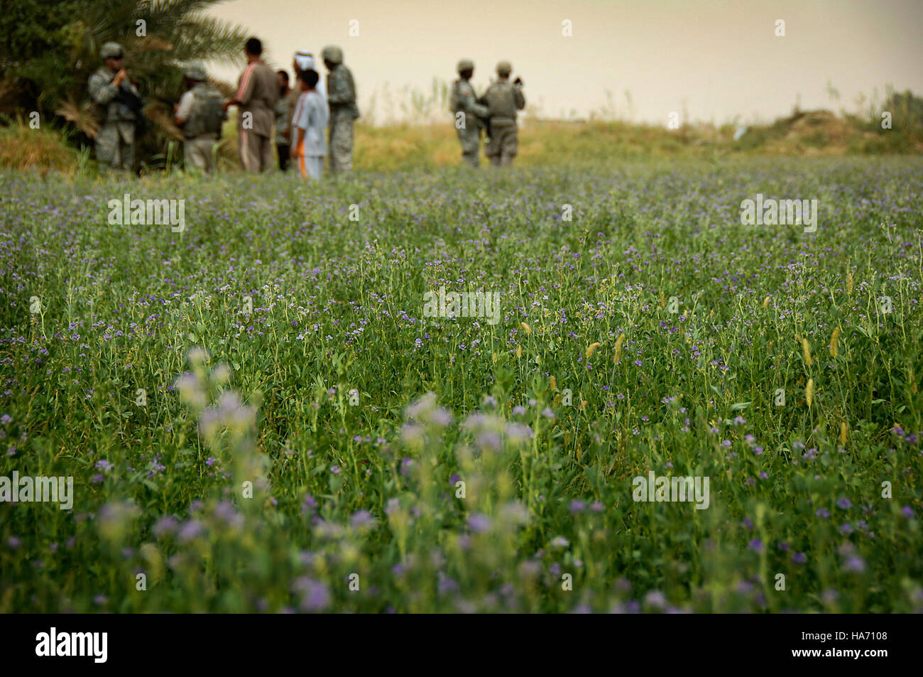 Daniel Herrera ha catturato questa immagine del mercato di Taji in Iraq durante un dispiegamento del 2008, mostrando le attività agricole locali supportate dall'Eprt (Embedded Provincial Reconstruction Team) nella regione. L'immagine sottolinea il ruolo dell'agricoltura nello sviluppo economico e il sostegno dei militari ai mercati locali. Foto Stock