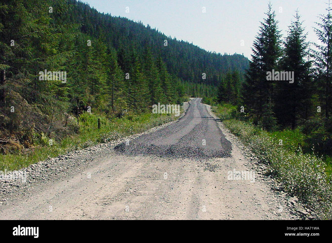 Questa foto mostra un percorso di ghiaia all'interno di un parco nazionale, sottolineando l'equilibrio tra paesaggi naturali e infrastrutture artificiali per l'accesso dei visitatori e la conservazione del parco. Foto Stock