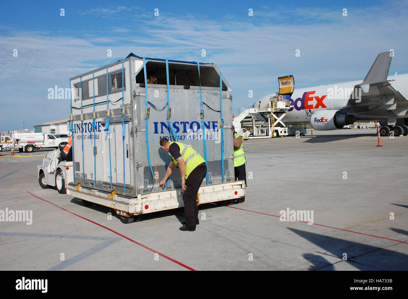 Questa immagine cattura il trasporto di cavalli durante i Giochi equestri mondiali, evidenziando l'attento processo di spostamento e quarantena dei cavalli per eventi internazionali. La cassa è in fase di lancio nella struttura dell'aeroporto per un'ispezione e una gestione corrette. Foto Stock