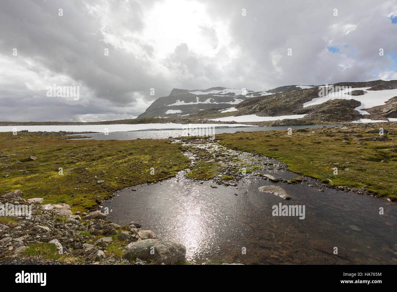 Neve in Nazionale Aurlandsfjellet itinerario turistico, Norvegia Foto Stock