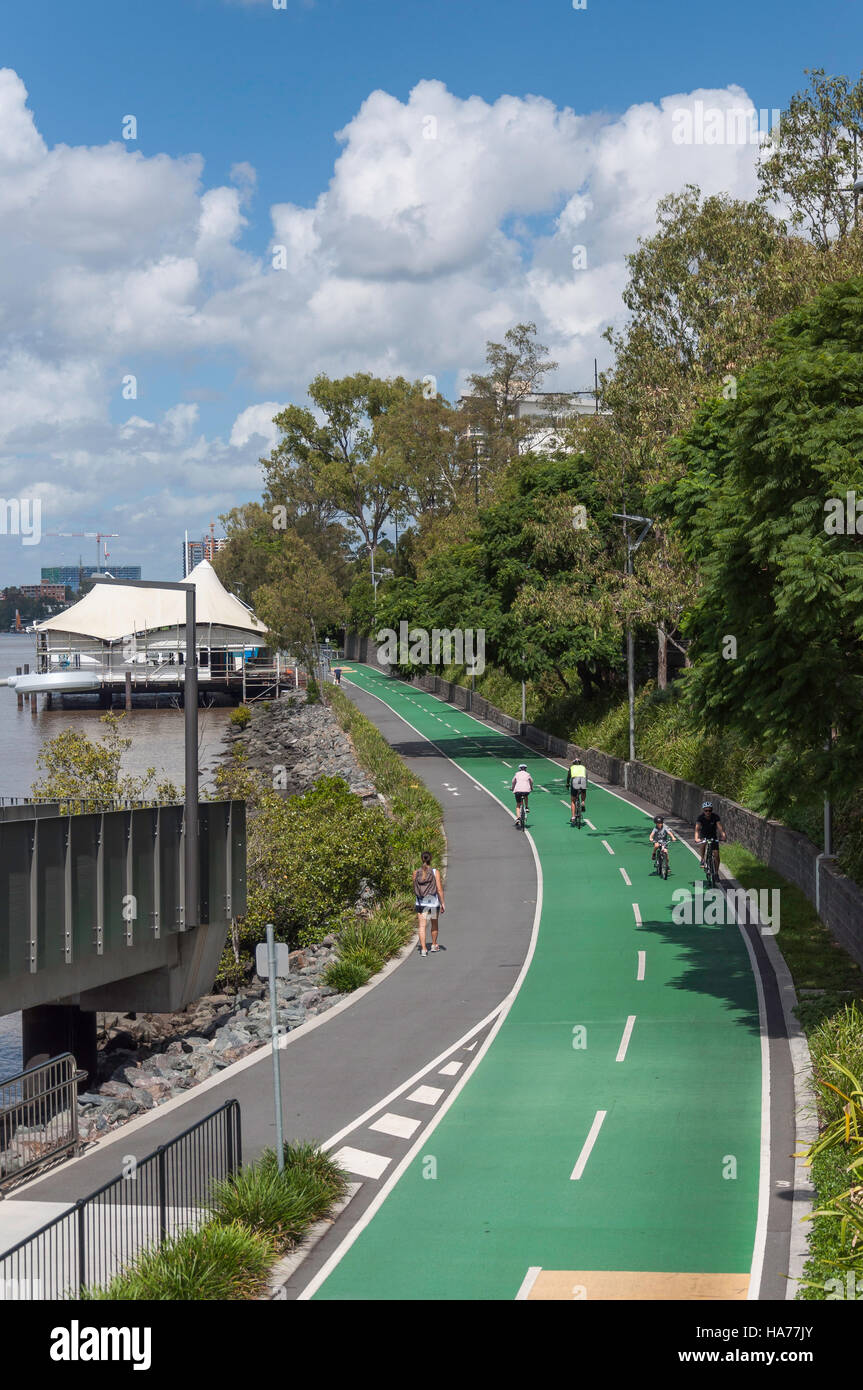 Bicentenario Bikeway sulle rive del Fiume Brisbane, Milton, Brisbane, Queensland, Australia Foto Stock