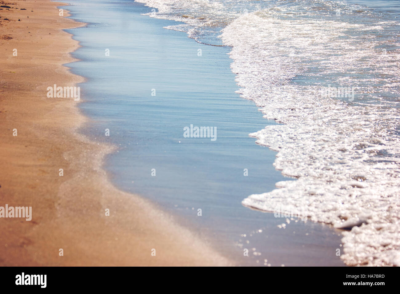 Acqua schiumosa sulla riva. Foto Stock