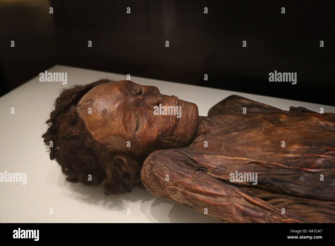Resta mummificato di un uomo. Barranco de Herques, Tenerife, Isole Canarie, Spagna. Museo Archeologico Nazionale di Madrid. Spagna. Foto Stock