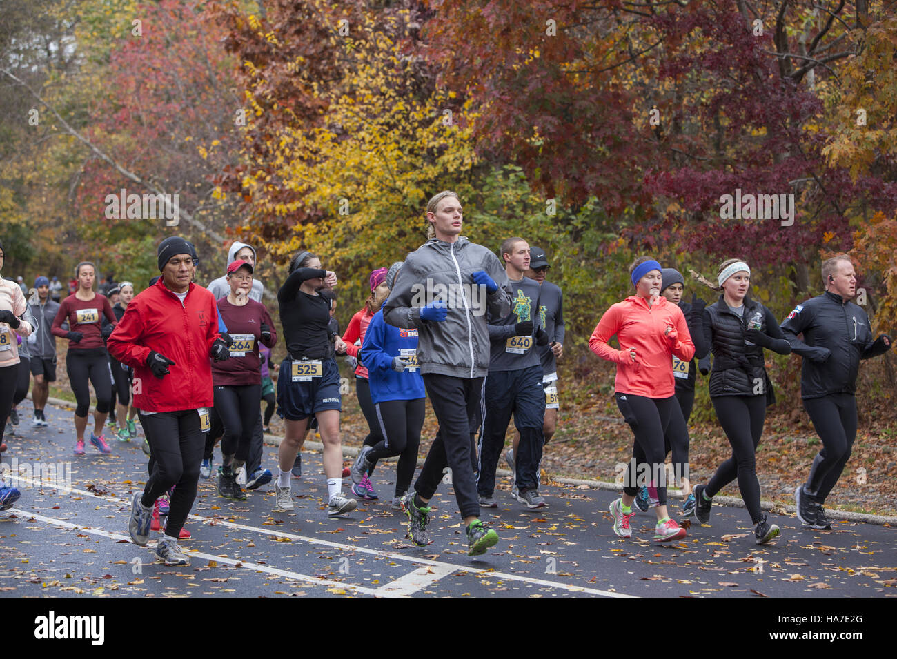 I corridori partecipare alla maratona di Brooklyn che avviene in Prospect Park. Guide di scorrimento sono circondato da i colori dell'autunno ancora brillante per la metà di novembre. Foto Stock