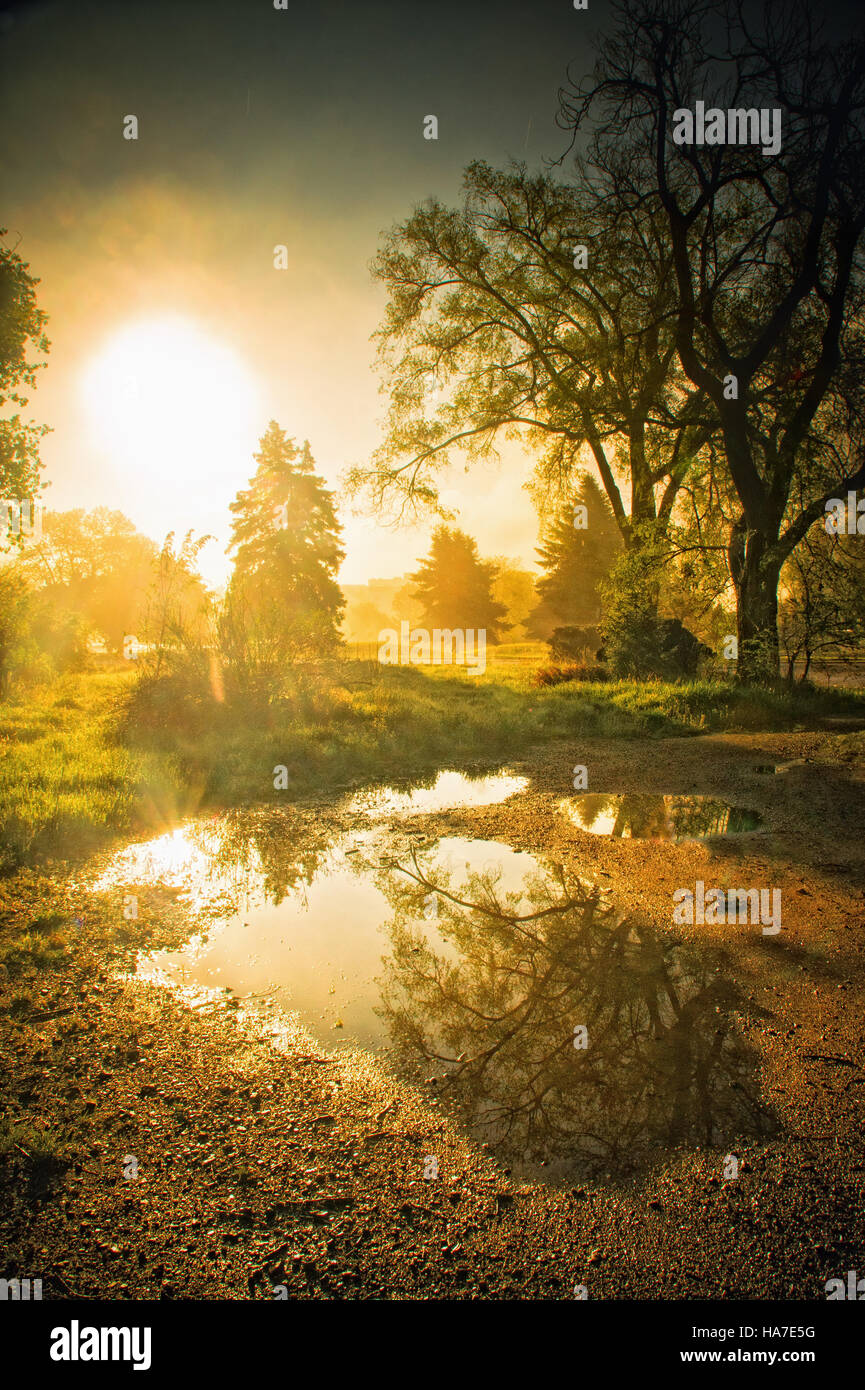 La nebbia si pone in luce del mattino dalla sera pervio tempeste in Lakewood, Colorado Foto Stock